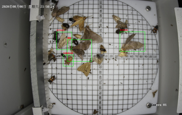 林業(yè)有害生物監(jiān)測預警設(shè)備圖2 林業(yè)有害生物監(jiān)測預警設(shè)備圖2