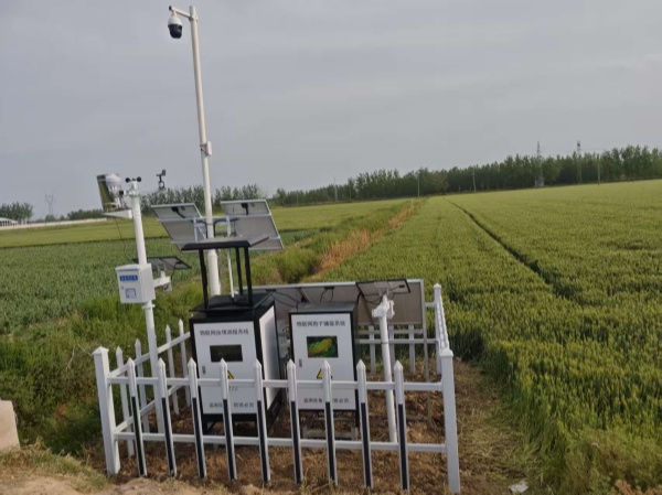 宿遷病害蟲情項目圖片2