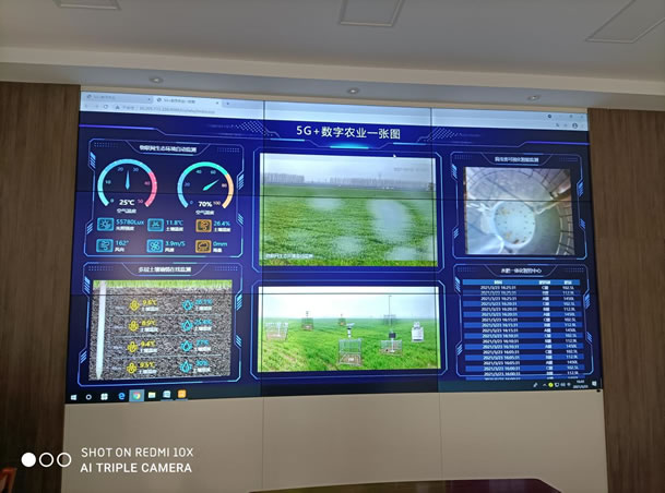 2021河南鶴壁?？h國(guó)營(yíng)農(nóng)場(chǎng)